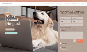 veterinarian website design